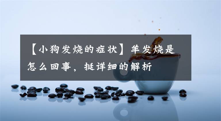 【小狗发烧的症状】羊发烧是怎么回事,挺详细的解析