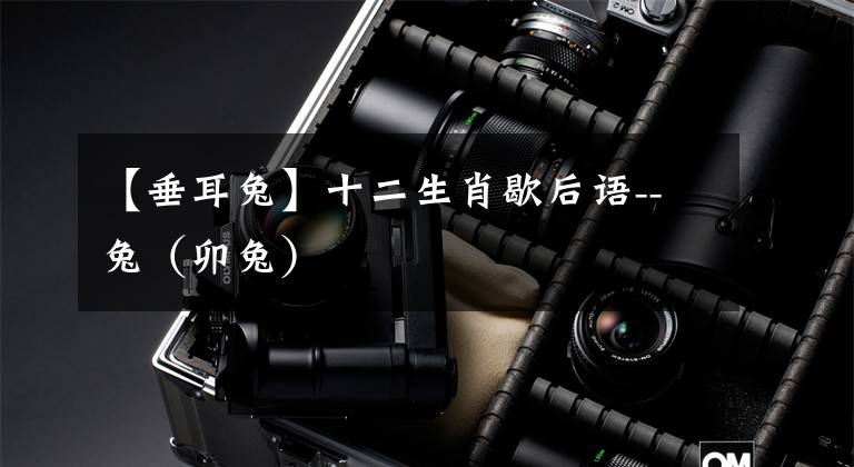 【垂耳兔】十二生肖歇后语--兔（卯兔）