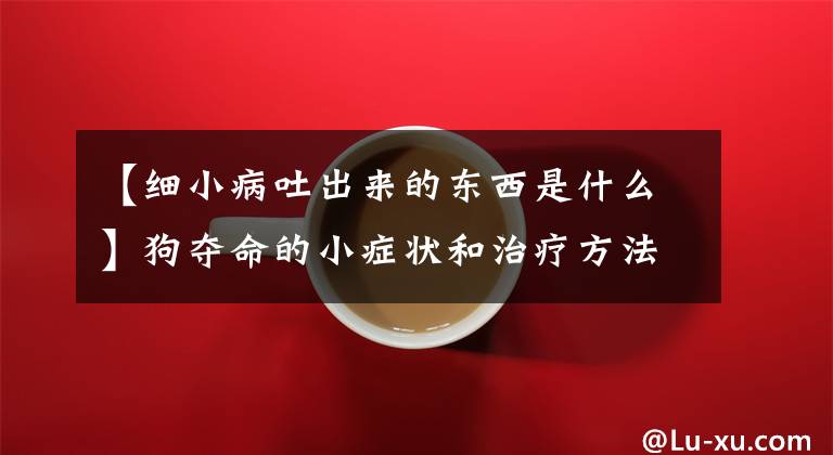 【细小病吐出来的东西是什么】狗夺命的小症状和治疗方法之一。