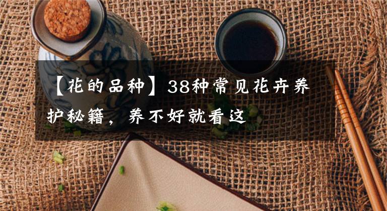 【花的品种】38种常见花卉养护秘籍，养不好就看这