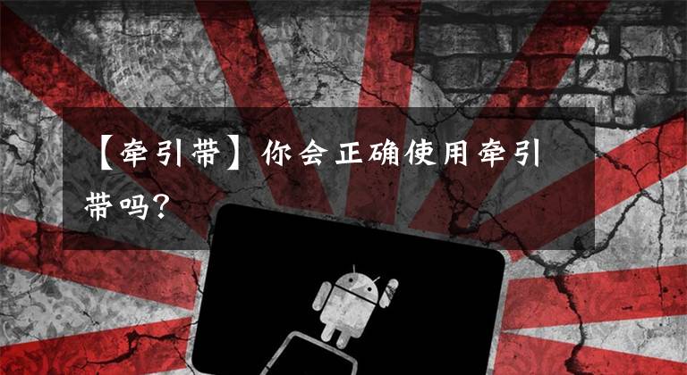 【牵引带】你会正确使用牵引带吗？