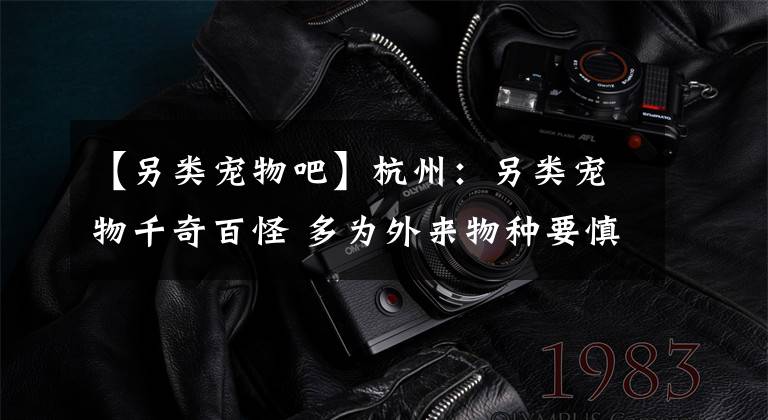 【另类宠物吧】杭州:另类宠物千奇百怪 多为外来物种要慎养