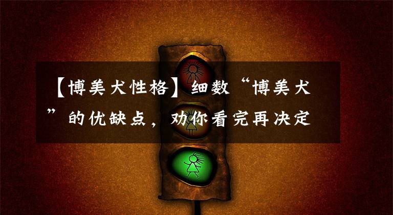 【博美犬性格】细数“博美犬”的优缺点,劝你看完再决定养不养