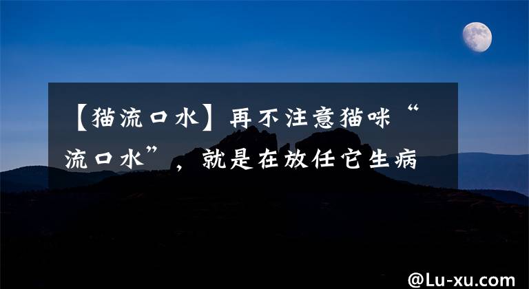 【猫流口水】再不注意猫咪“流口水”,就是在放任它生病,可别以为猫咪在馋嘴