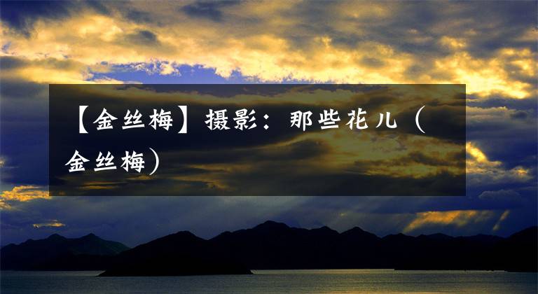 【金丝梅】摄影：那些花儿（金丝梅）