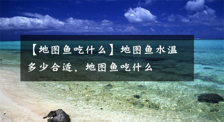 【地图鱼吃什么】地图鱼水温多少合适,地图鱼吃什么