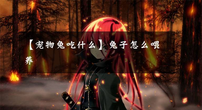 【宠物兔吃什么】兔子怎么喂养