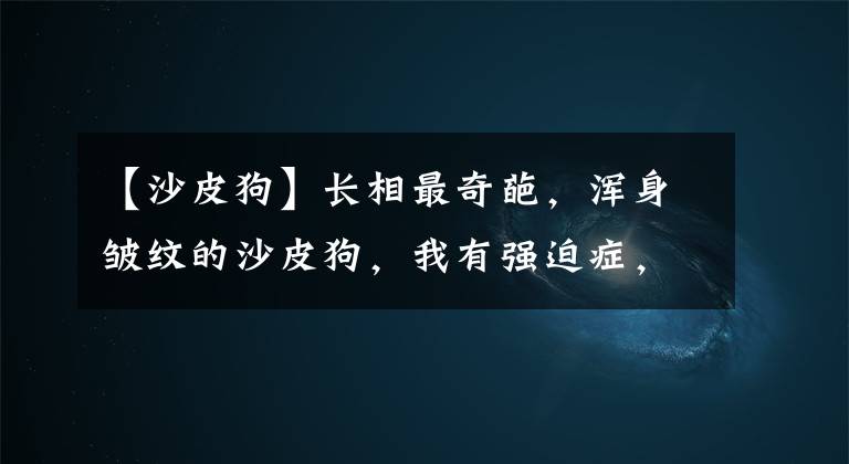 【沙皮狗】长相最奇葩，浑身皱纹的沙皮狗，我有强迫症，看着渗人