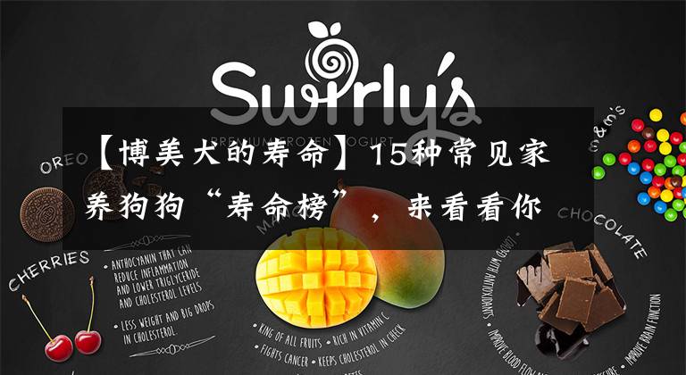 【博美犬的寿命】15种常见家养狗狗“寿命榜”，来看看你家狗子能活多久？