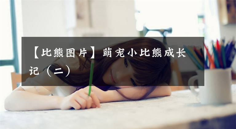 【比熊图片】萌宠小比熊成长记（二）