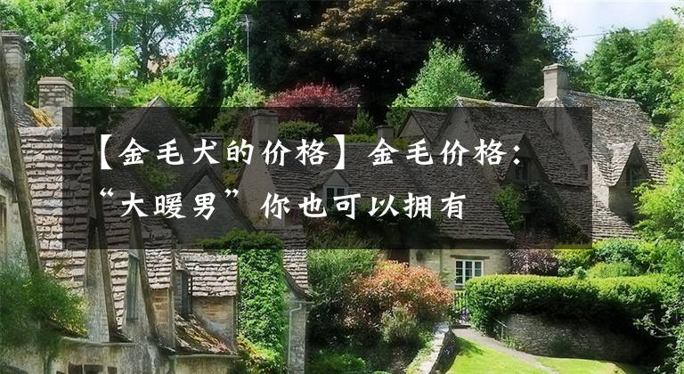 【金毛犬的价格】金毛价格:“大暖男”你也可以拥有