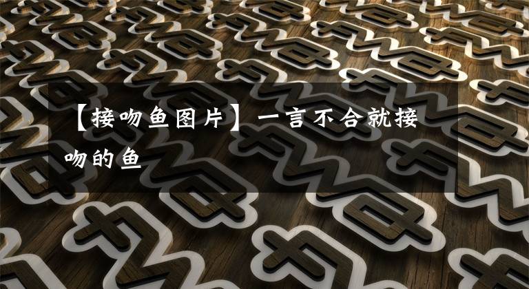 【接吻鱼图片】一言不合就接吻的鱼