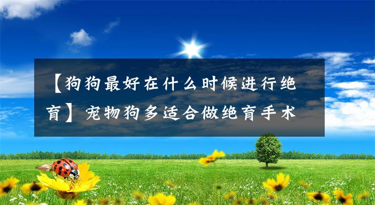 【狗狗最好在什么时候进行绝育】宠物狗多适合做绝育手术？