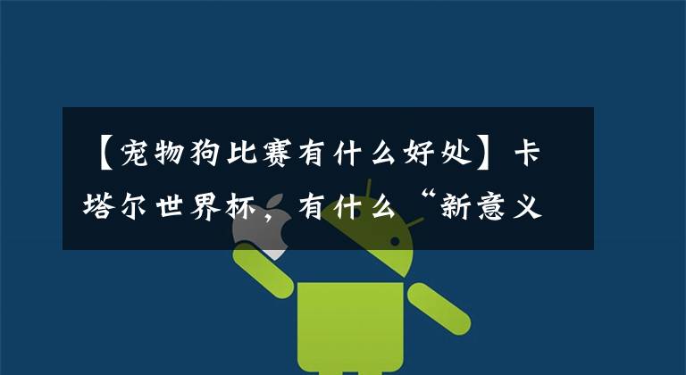 【宠物狗比赛有什么好处】卡塔尔世界杯，有什么“新意义”？