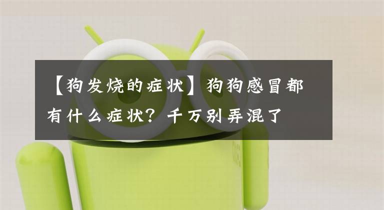 【狗发烧的症状】狗狗感冒都有什么症状？千万别弄混了