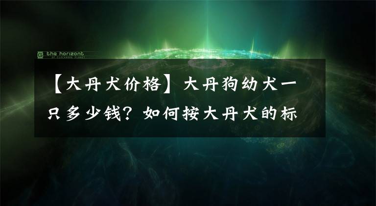 【大丹犬价格】大丹狗幼犬一只多少钱？如何按大丹犬的标准特征来选购？