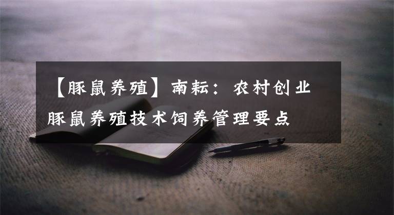 【豚鼠养殖】南耘:农村创业豚鼠养殖技术饲养管理要点