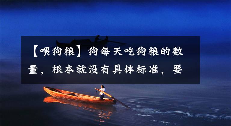 【喂狗粮】狗每天吃狗粮的数量，根本就没有具体标准，要根据实际情况确定