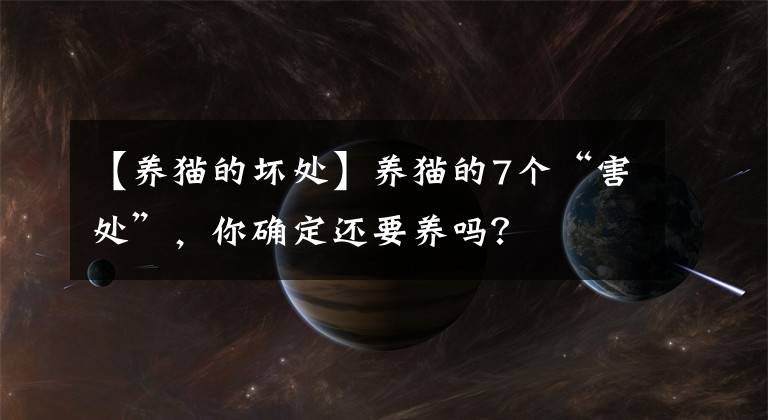 【养猫的坏处】养猫的7个“害处”，你确定还要养吗？