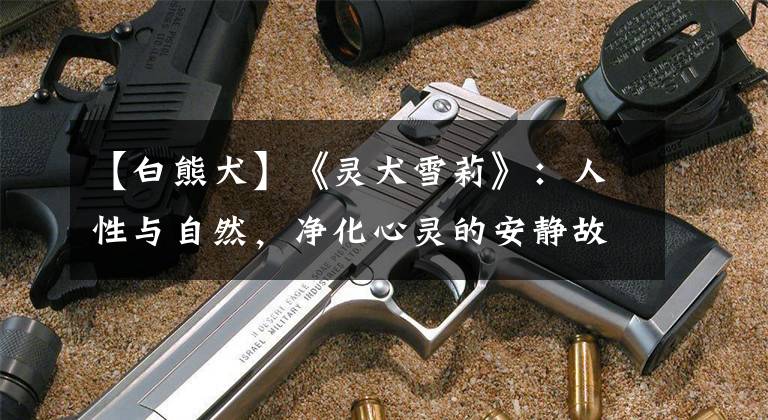 【白熊犬】《灵犬雪莉》:人性与自然,净化心灵的安静故事