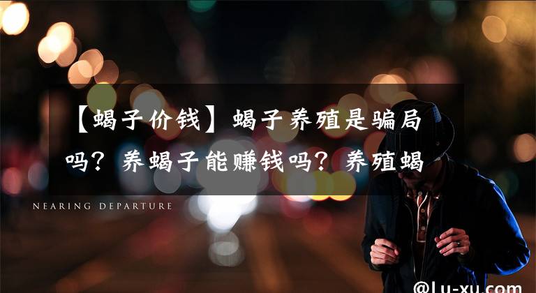 【蝎子价钱】蝎子养殖是骗局吗?养蝎子能赚钱吗?养殖蝎子效益又如何呢?