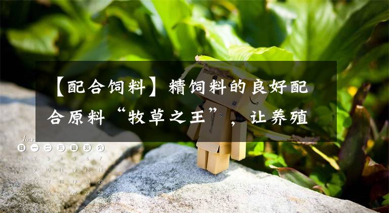 【配合饲料】精饲料的良好配合原料“牧草之王”,让养殖户大大提高养殖效益!