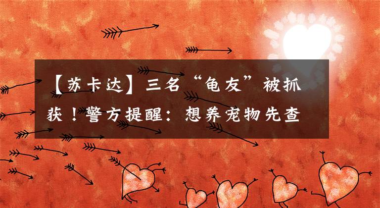 【苏卡达】三名“龟友”被抓获!警方提醒:想养宠物先查保护名录