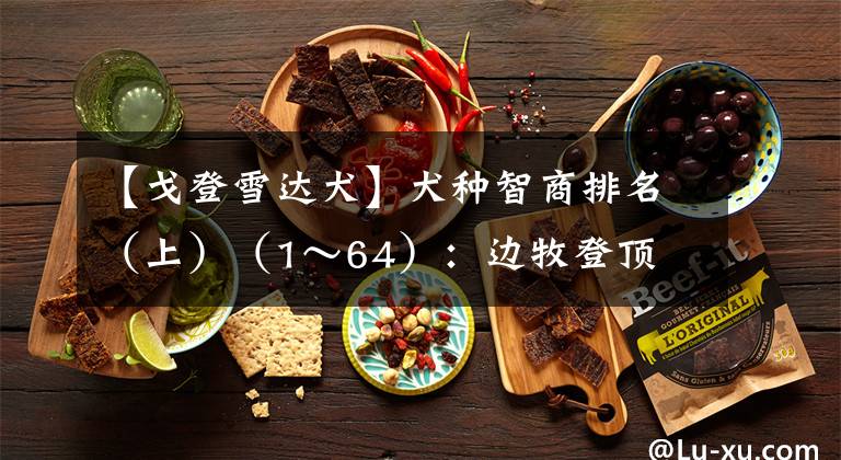 【戈登雪达犬】犬种智商排名（上）（1～64）：边牧登顶