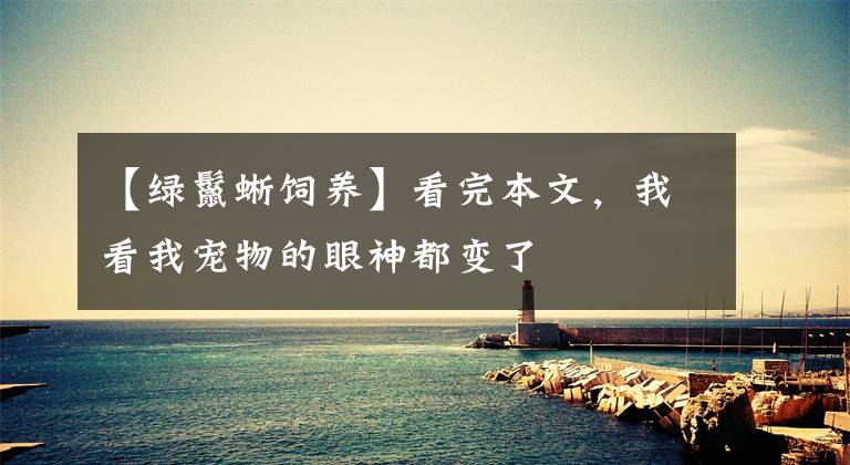 【绿鬣蜥饲养】看完本文，我看我宠物的眼神都变了