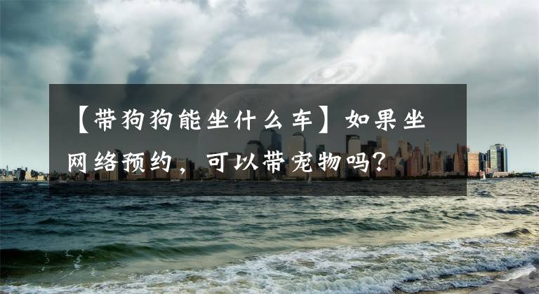 【带狗狗能坐什么车】如果坐网络预约,可以带宠物吗?