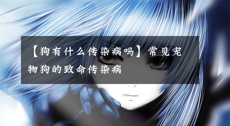 【狗有什么传染病吗】常见宠物狗的致命传染病