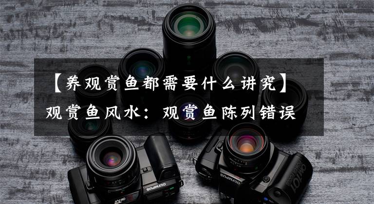 【养观赏鱼都需要什么讲究】观赏鱼风水:观赏鱼陈列错误的话,会很适合你的!