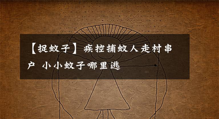 【捉蚊子】疾控捕蚊人走村串户 小小蚊子哪里逃