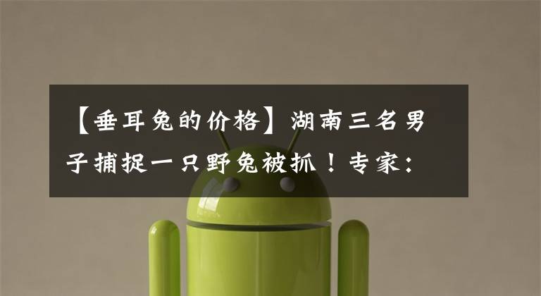 【垂耳兔的价格】湖南三名男子捕捉一只野兔被抓！专家：为保护动物，每只300元