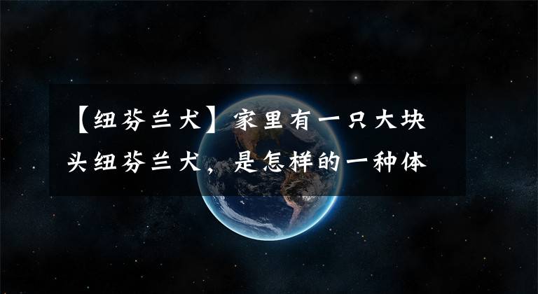 【纽芬兰犬】家里有一只大块头纽芬兰犬，是怎样的一种体验？