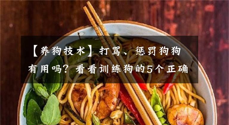 【养狗技术】打骂、惩罚狗狗有用吗?看看训练狗的5个正确方法