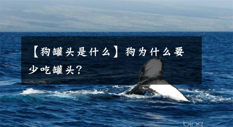 【狗罐头是什么】狗为什么要少吃罐头?