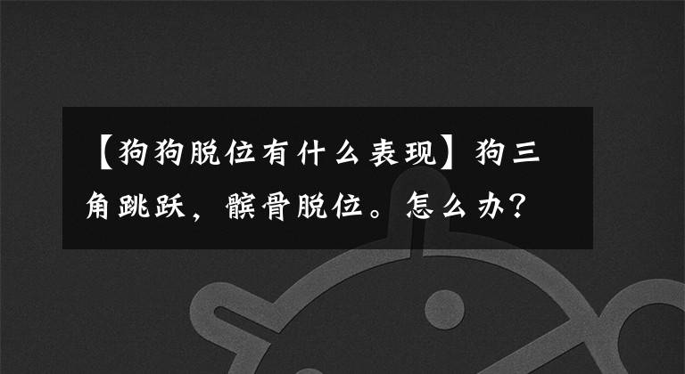【狗狗脱位有什么表现】狗三角跳跃，髌骨脱位。怎么办？
