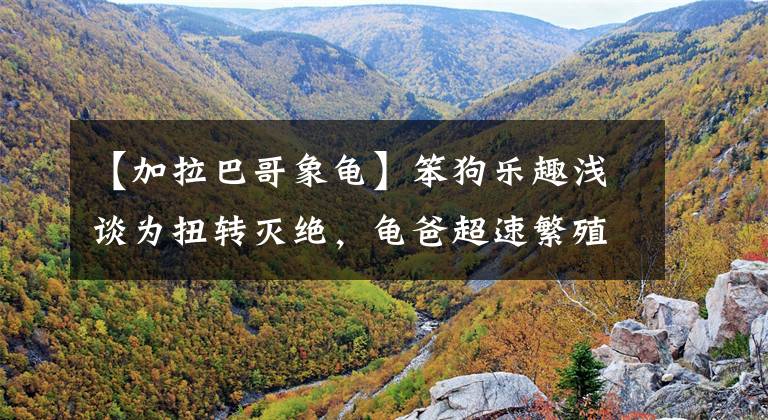 【加拉巴哥象龟】笨狗乐趣浅谈为扭转灭绝，龟爸超速繁殖后代