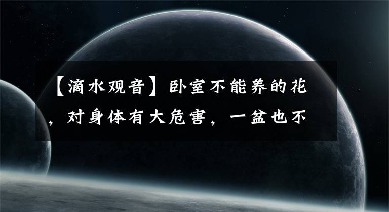 【滴水观音】卧室不能养的花,对身体有大危害,一盆也不行