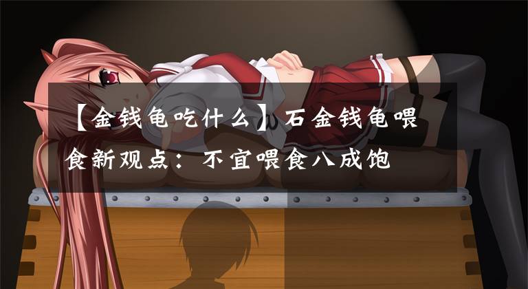 【金钱龟吃什么】石金钱龟喂食新观点:不宜喂食八成饱