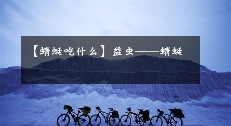 【蜻蜓吃什么】益虫——蜻蜓