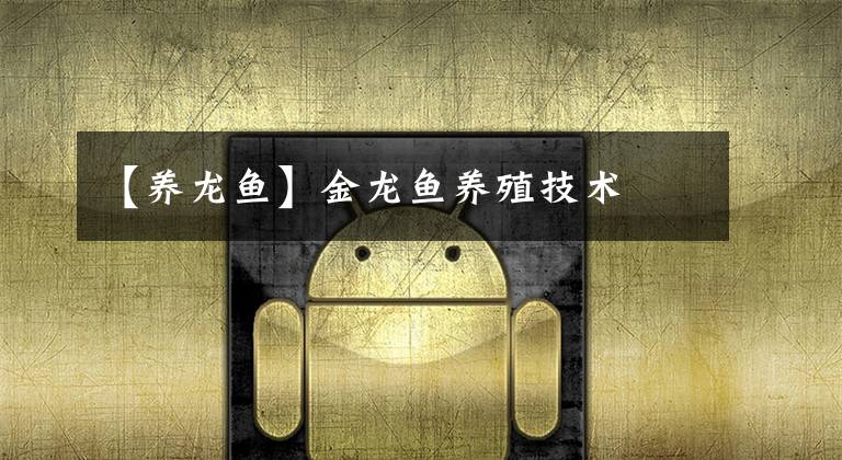 【养龙鱼】金龙鱼养殖技术