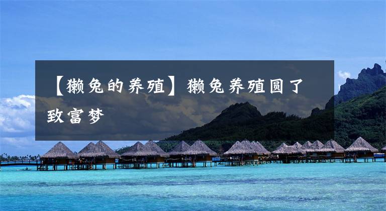 【獭兔的养殖】獭兔养殖圆了致富梦