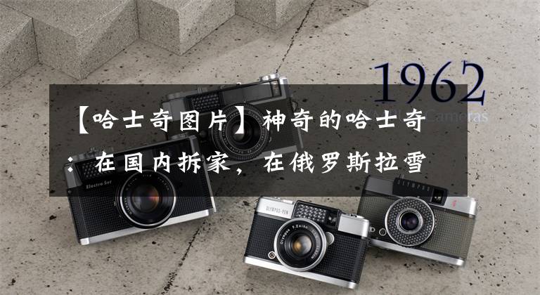 【哈士奇图片】神奇的哈士奇:在国内拆家,在俄罗斯拉雪橇,在德国看大门