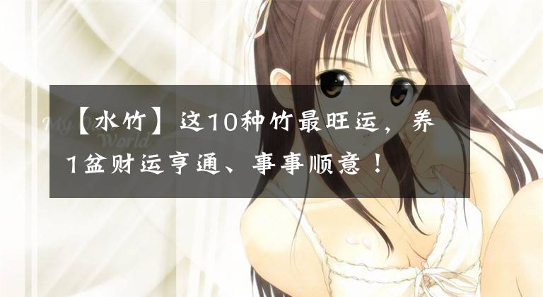 【水竹】这10种竹最旺运,养1盆财运亨通、事事顺意!