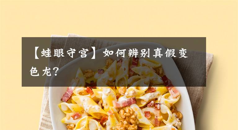 【蛙眼守宫】如何辨别真假变色龙？