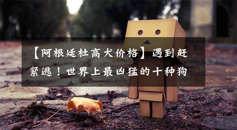 【阿根廷杜高犬价格】遇到赶紧逃!世界上最凶猛的十种狗,就连藏獒都只能屈居第二