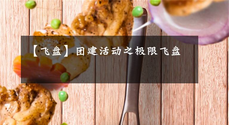 【飞盘】团建活动之极限飞盘