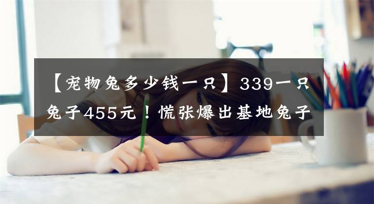 【宠物兔多少钱一只】339一只兔子455元!慌张爆出基地兔子价格!高出市价一倍